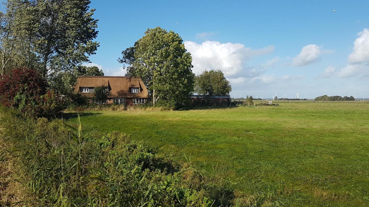 Ferienwohnung Marschkieker - Kleiner Deichhof Hattstedtermarsch Exteriér fotografie