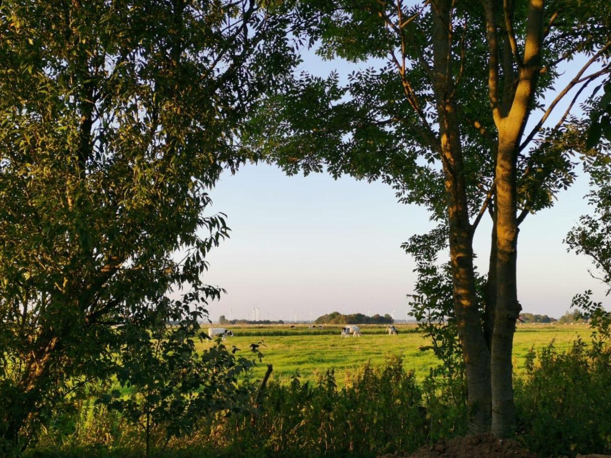 Ferienwohnung Marschkieker - Kleiner Deichhof Hattstedtermarsch Exteriér fotografie