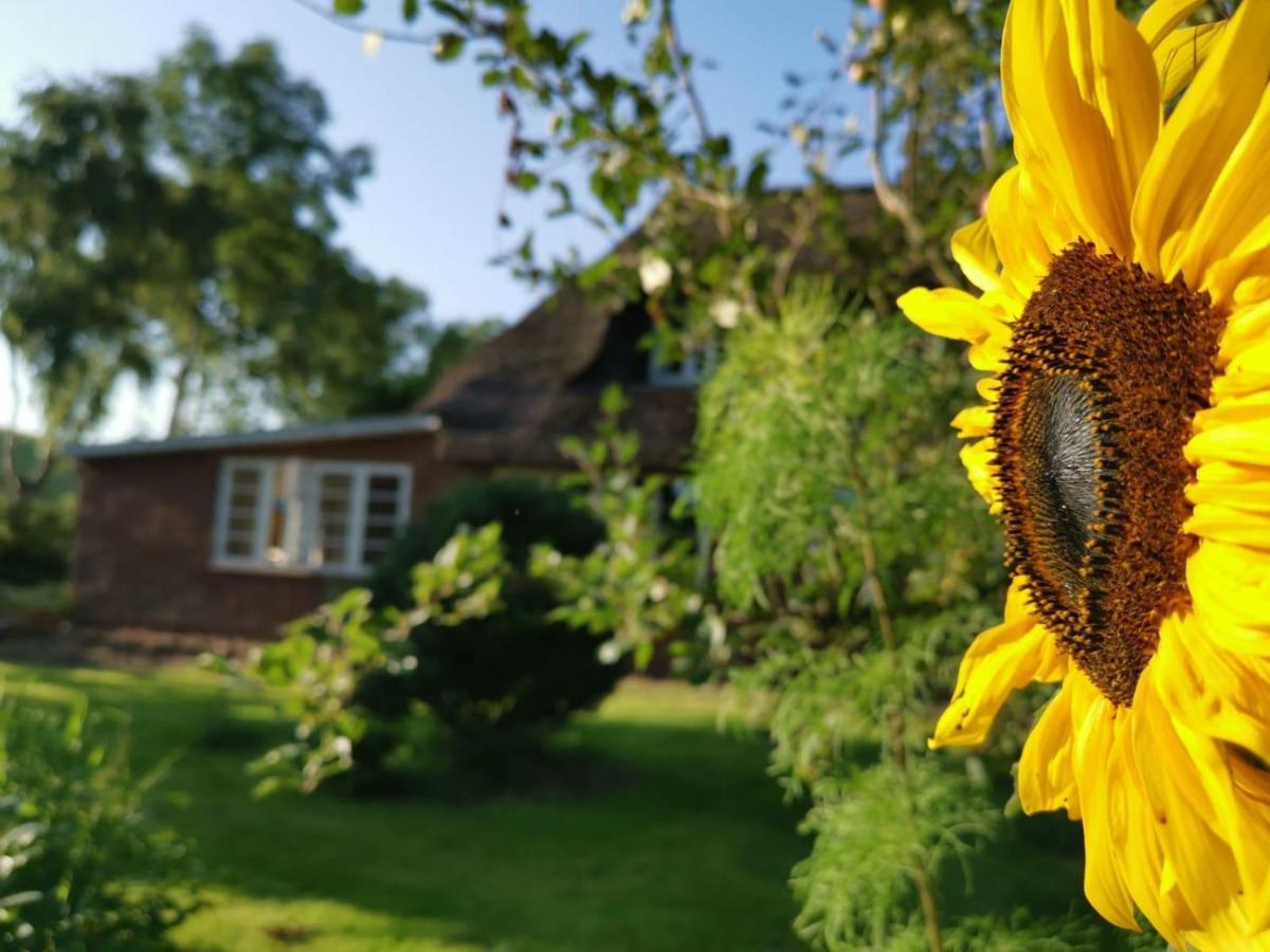Ferienwohnung Marschkieker - Kleiner Deichhof Hattstedtermarsch Exteriér fotografie
