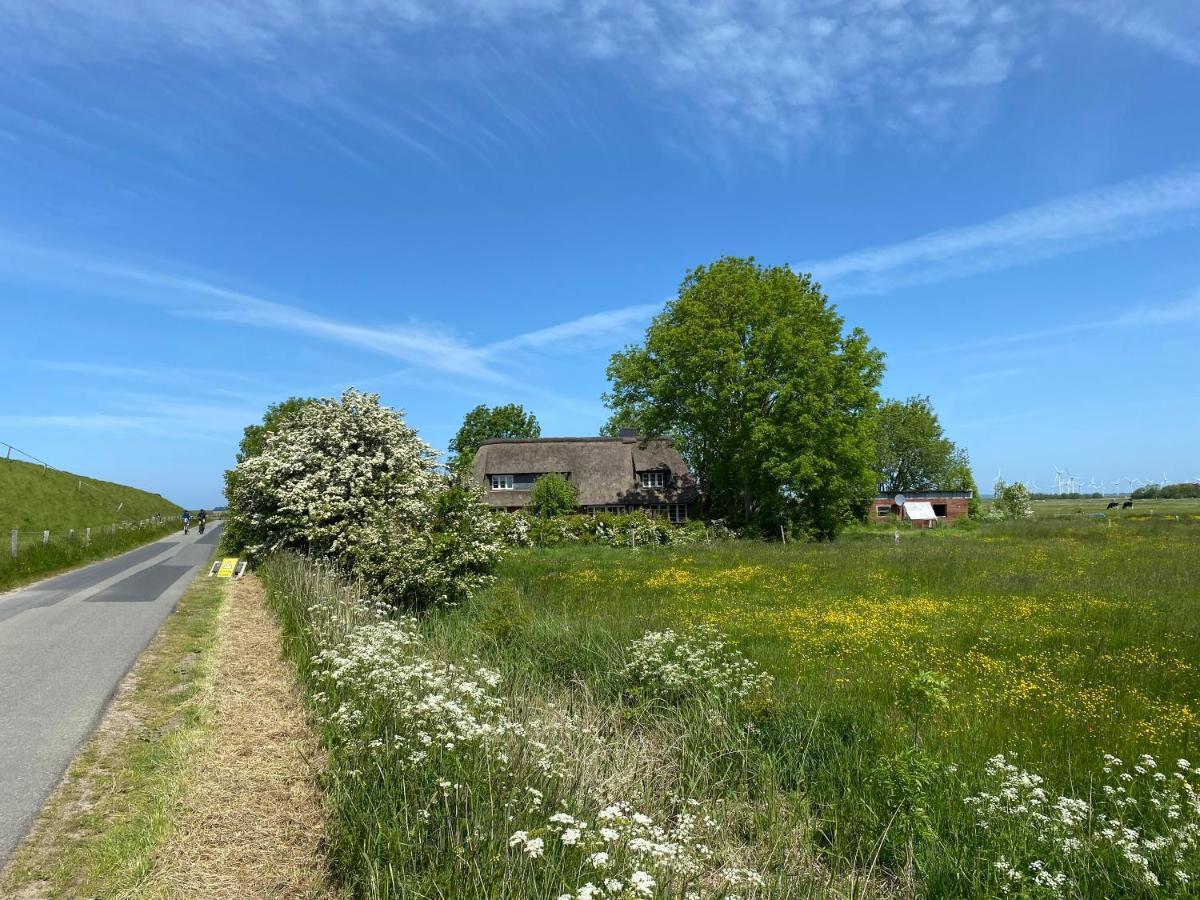 Ferienwohnung Marschkieker - Kleiner Deichhof Hattstedtermarsch Exteriér fotografie