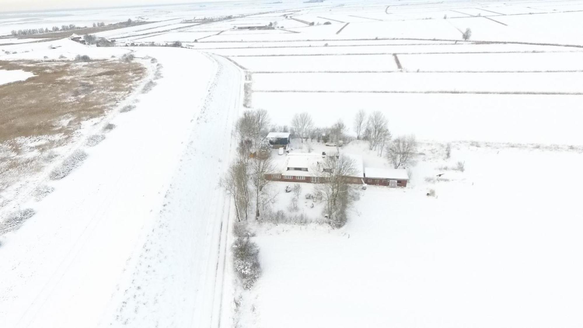 Ferienwohnung Marschkieker - Kleiner Deichhof Hattstedtermarsch Exteriér fotografie