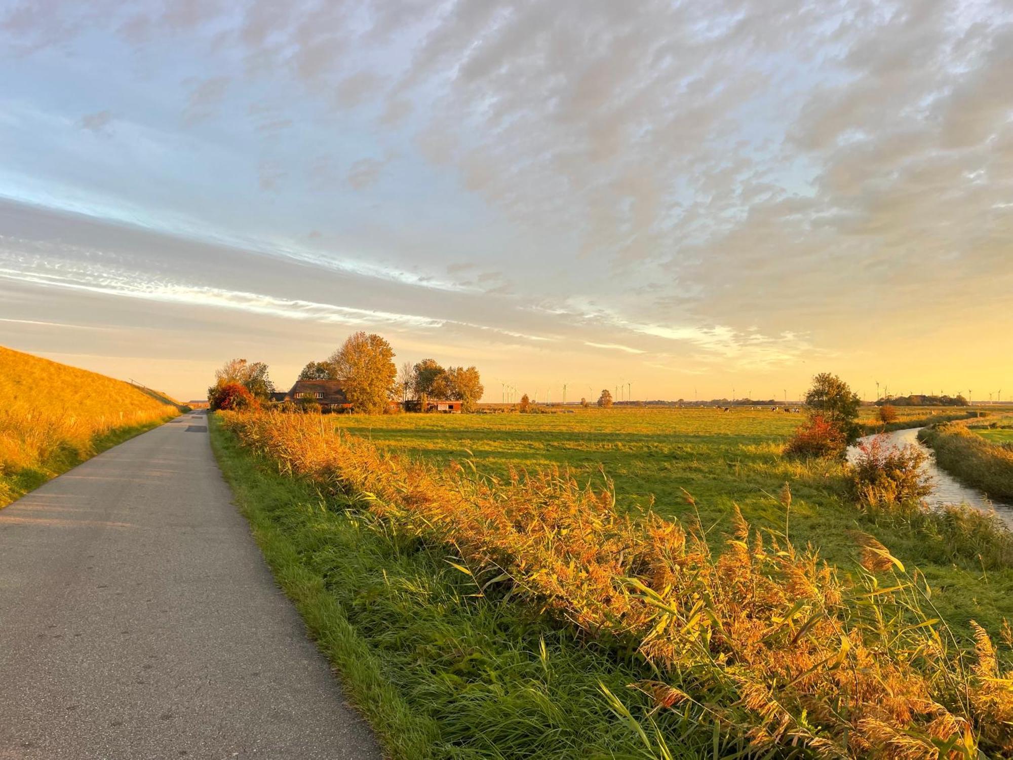 Ferienwohnung Marschkieker - Kleiner Deichhof Hattstedtermarsch Exteriér fotografie